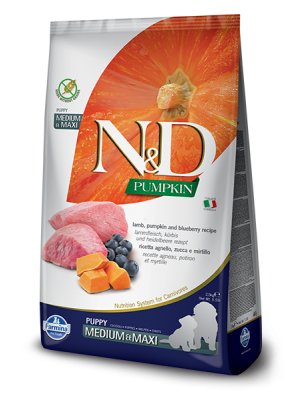Alimento N&D Pumpkin Borrego e Mirtilos Para Cachorro Médio/ Maxi 12kg
