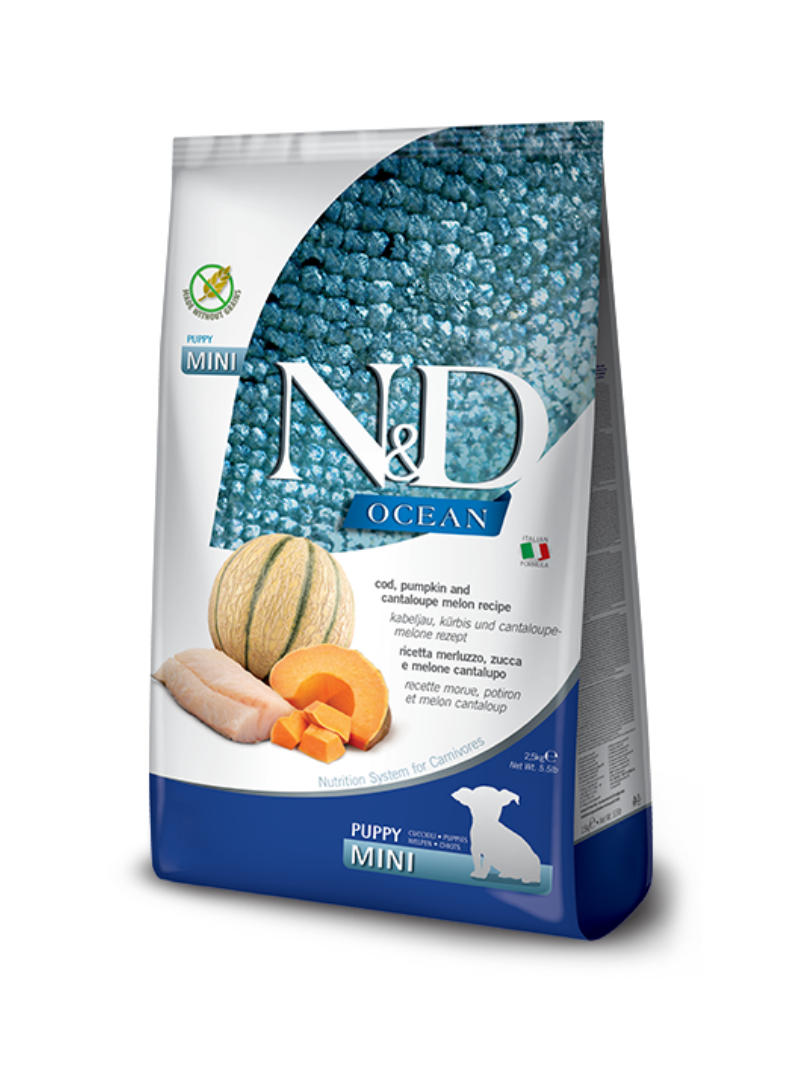 Alimento N&D Ocean de Bacalhau, Abóbora e Meloa Cantaloupe para Cachorro Mini 800gr